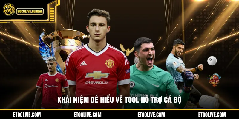 Khái niệm dễ hiểu về tool hỗ trợ cá độ